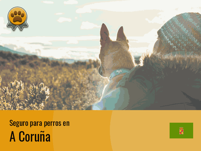 Seguro perros A Coruña