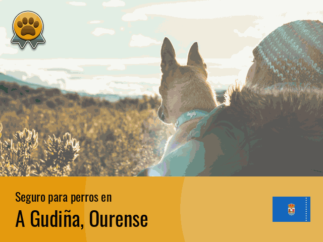 Seguro perros A Gudiña