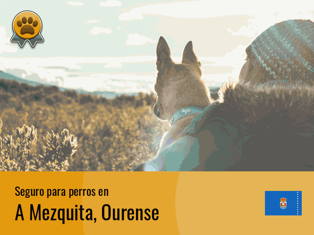 Seguro perros A Mezquita