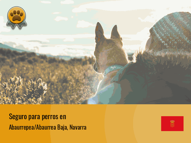 Seguro perros Abaurrepea/Abaurrea Baja