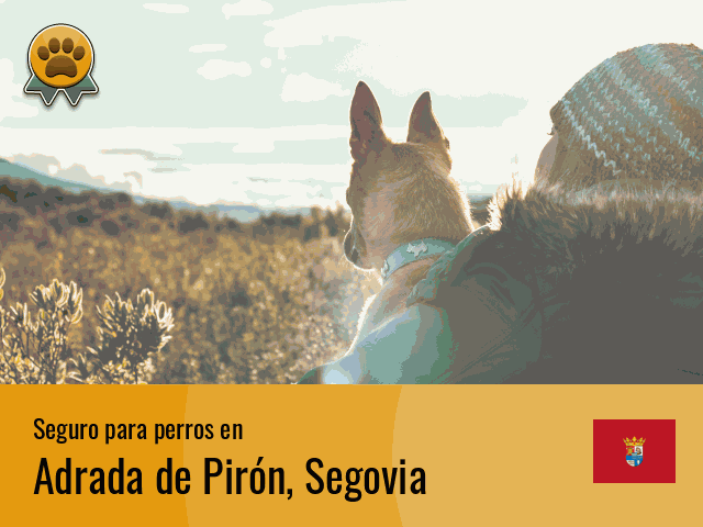 Seguro perros Adrada de Pirón