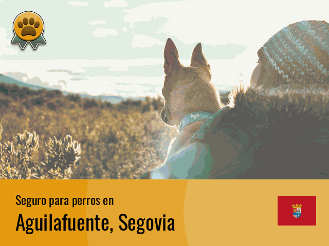 Seguro perros Aguilafuente