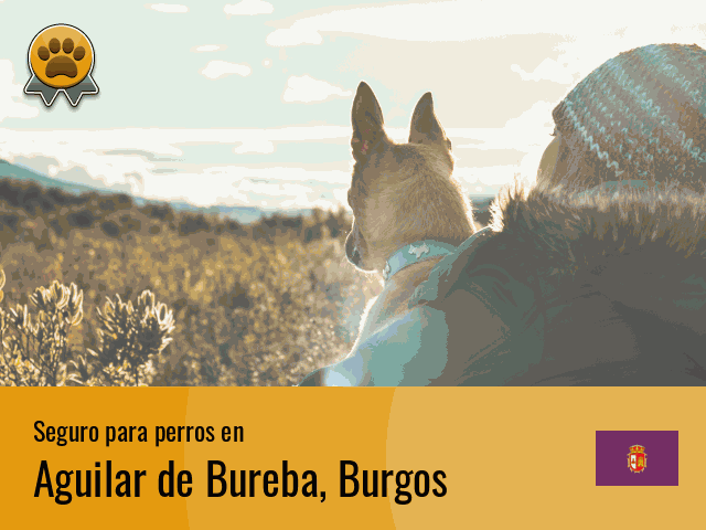 Seguro perros Aguilar de Bureba