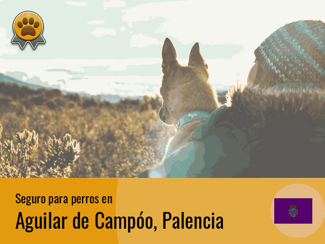 Seguro perros Aguilar de Campóo