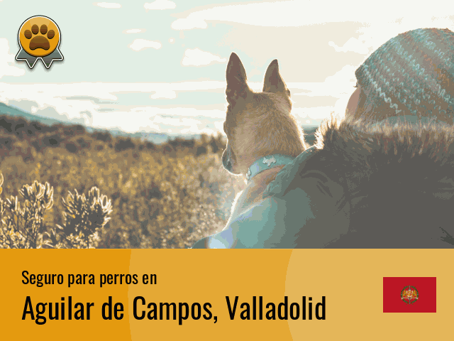 Seguro perros Aguilar de Campos