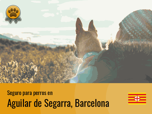 Seguro perros Aguilar de Segarra