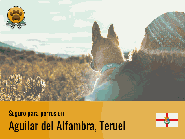 Seguro perros Aguilar del Alfambra