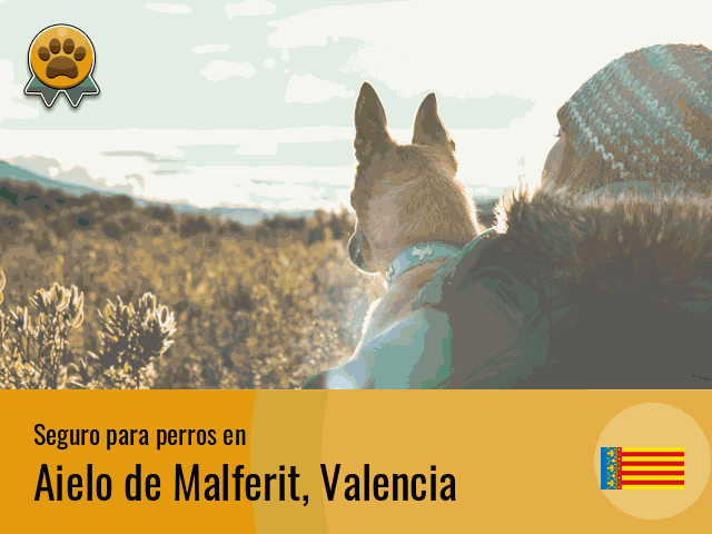 Seguro perros Aielo de Malferit