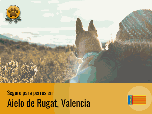 Seguro perros Aielo de Rugat