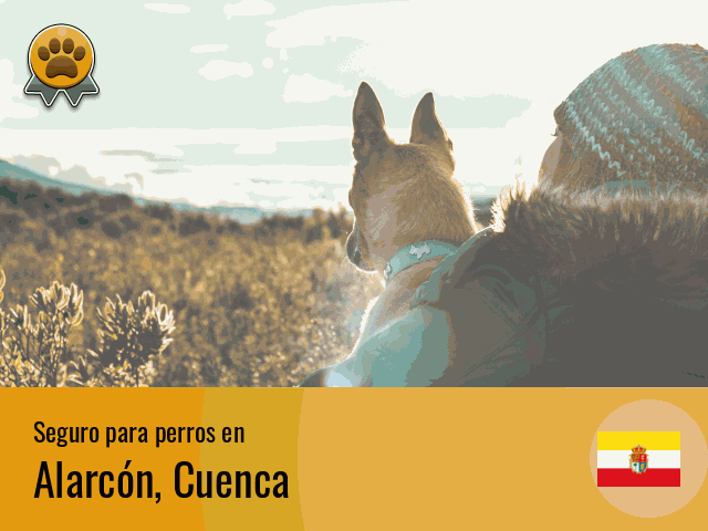 Seguro perros Alarcón