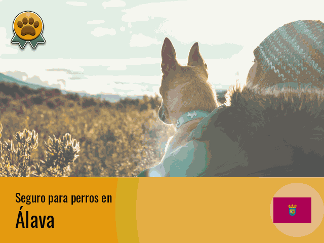 Seguro perros Álava