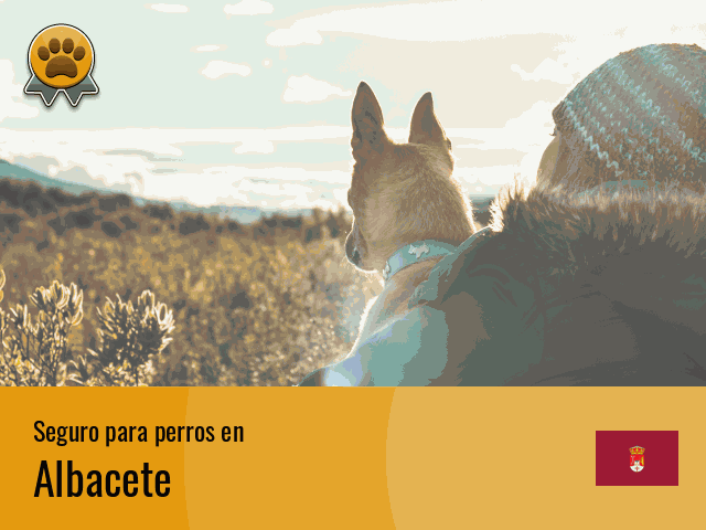 Seguro perros Albacete