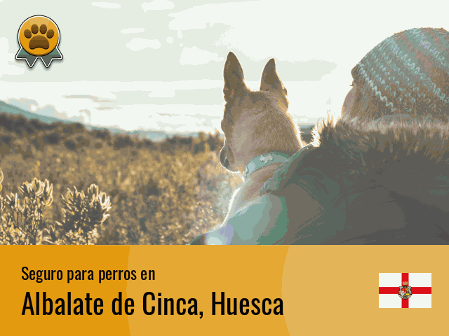 Seguro perros Albalate de Cinca