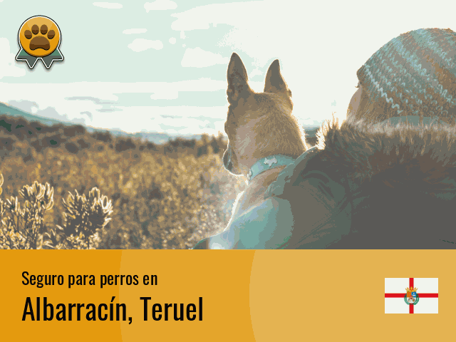 Seguro perros Albarracín