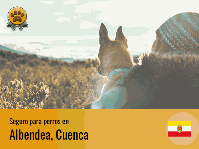 Seguro perros Albendea