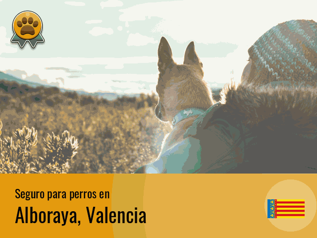 Seguro perros Alboraya