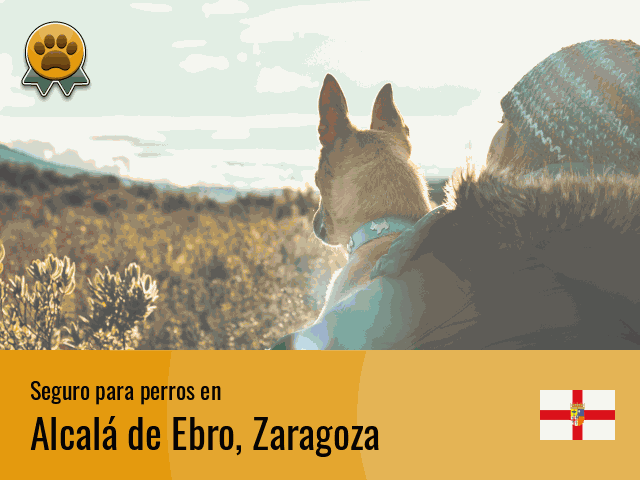 Seguro perros Alcalá de Ebro