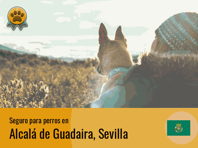 Seguro perros Alcalá de Guadaira