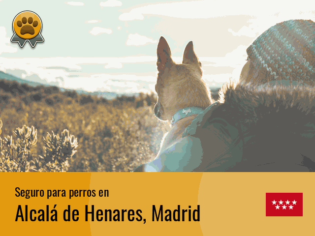 Seguro perros Alcalá de Henares