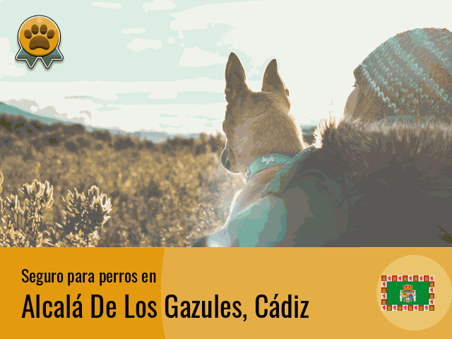 Seguro perros Alcalá De Los Gazules