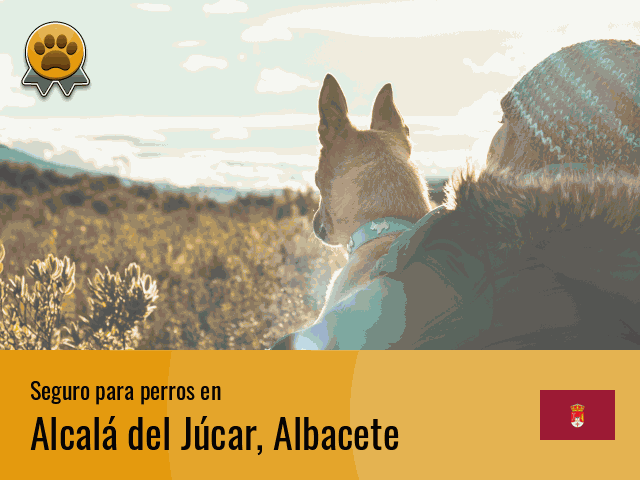 Seguro perros Alcalá del Júcar