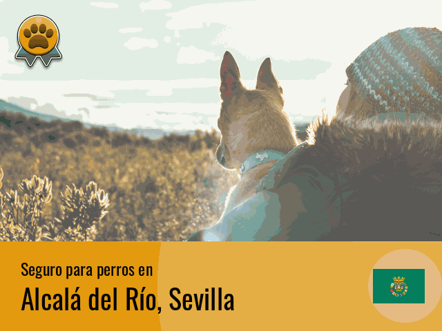 Seguro perros Alcalá del Río