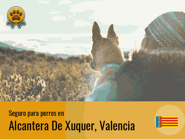 Seguro perros Alcantera De Xuquer