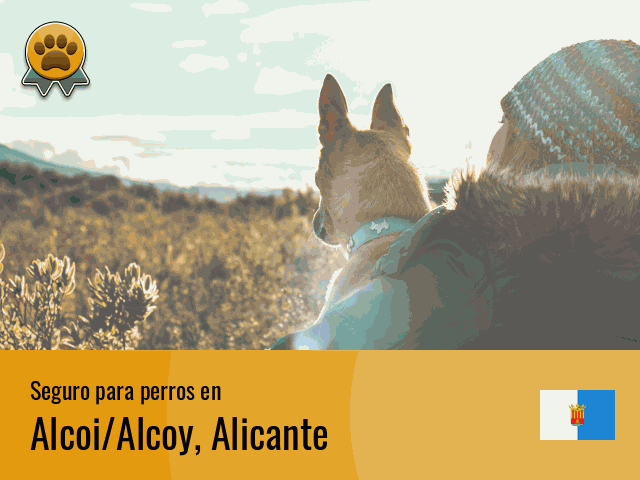 Seguro perros Alcoi/Alcoy