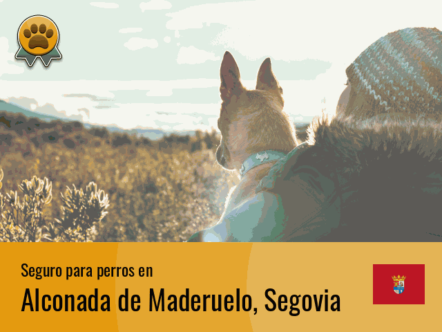 Seguro perros Alconada de Maderuelo