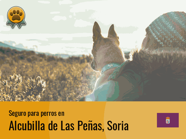 Seguro perros Alcubilla de Las Peñas