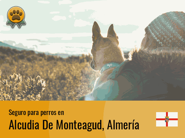 Seguro perros Alcudia De Monteagud