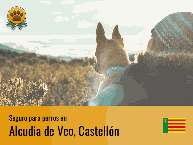 Seguro perros Alcudia de Veo