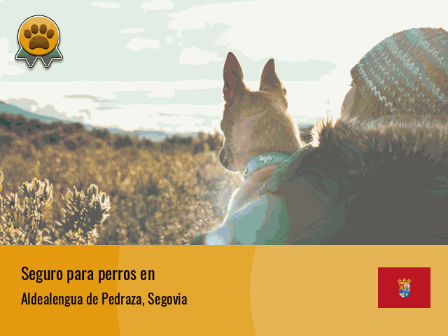 Seguro perros Aldealengua de Pedraza