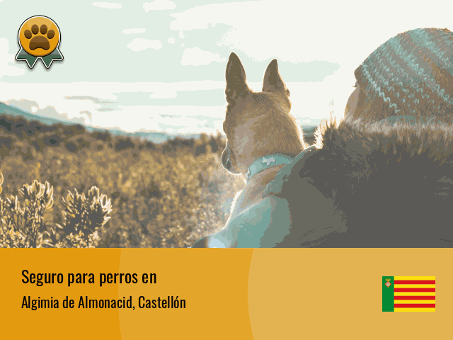 Seguro perros Algimia de Almonacid