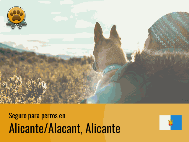Seguro perros Alicante/Alacant