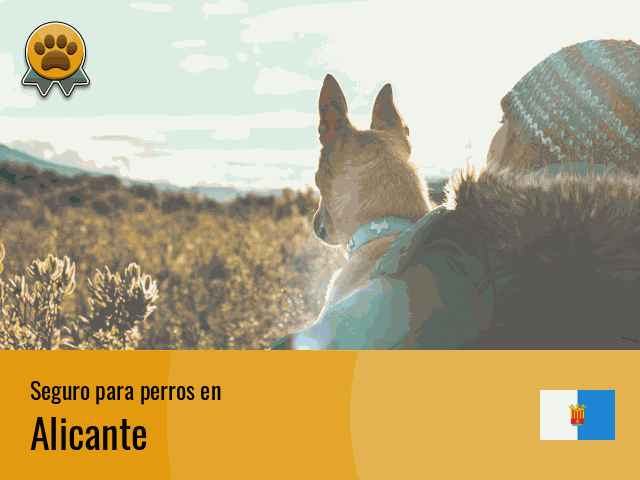 Seguro perros Alicante