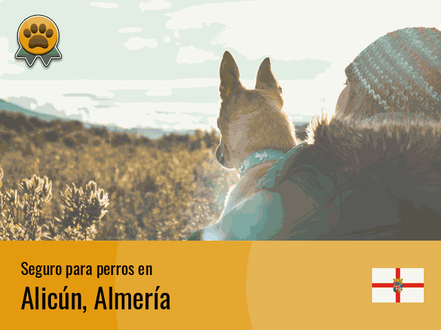 Seguro perros Alicún