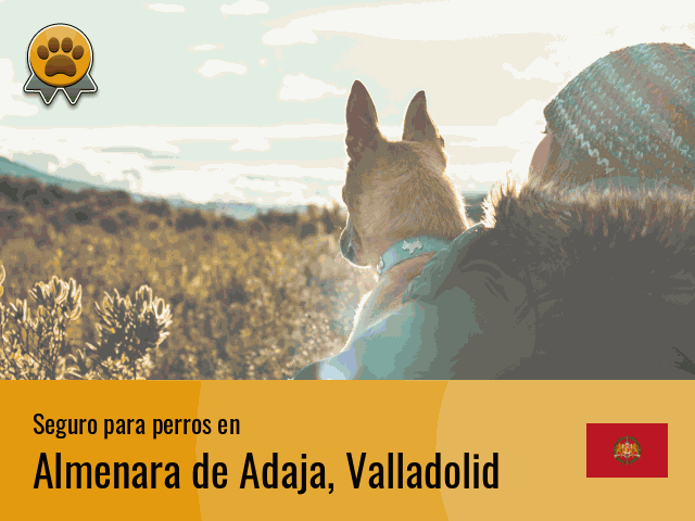 Seguro perros Almenara de Adaja