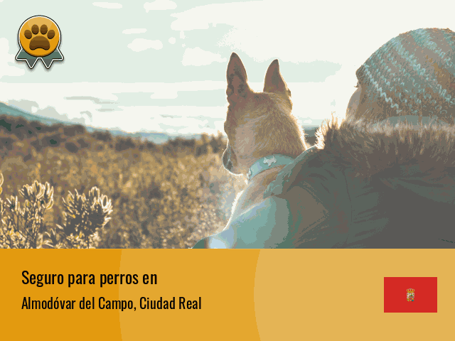 Seguro perros Almodóvar del Campo