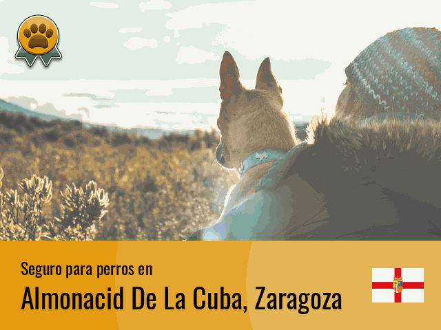 Seguro perros Almonacid De La Cuba