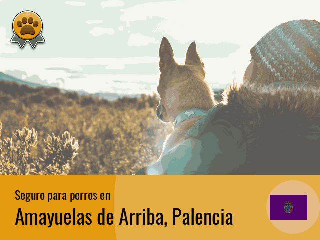 Seguro perros Amayuelas de Arriba