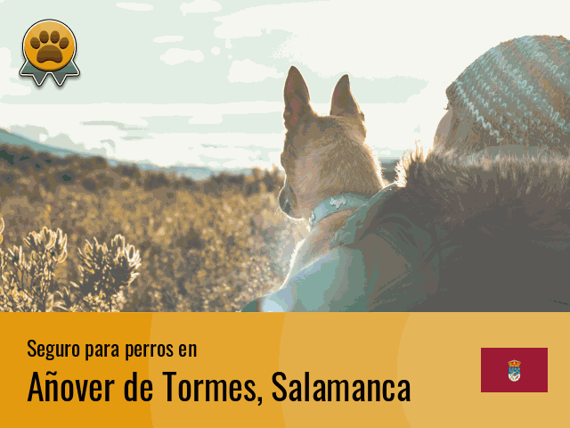 Seguro perros Añover de Tormes