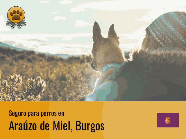 Seguro perros Araúzo de Miel