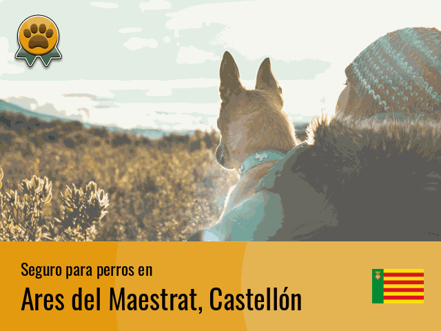 Seguro perros Ares del Maestrat