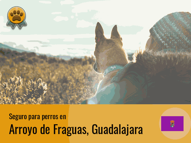 Seguro perros Arroyo de Fraguas