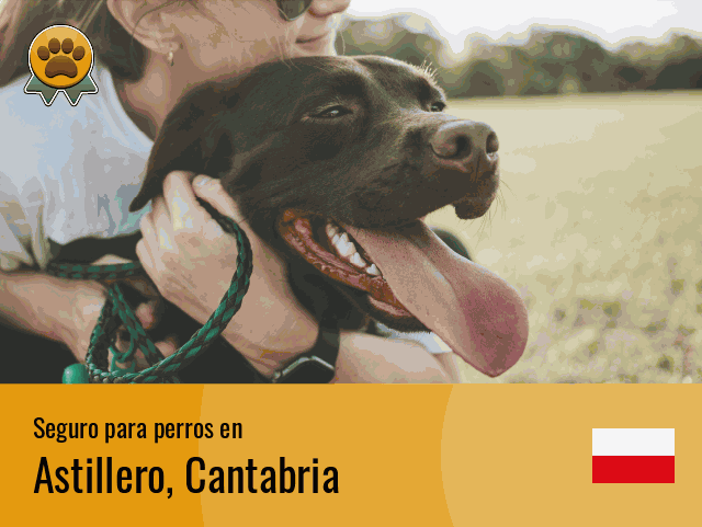 Seguro perros Astillero