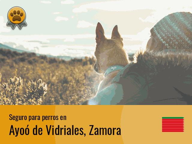 Seguro perros Ayoó de Vidriales