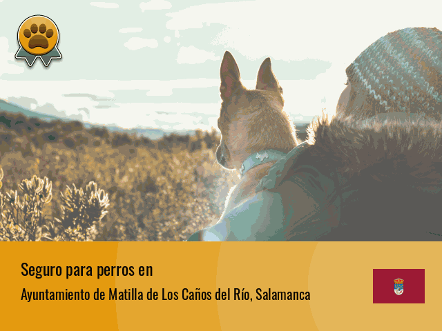 Seguro perros Ayuntamiento de Matilla de Los Caños del Río