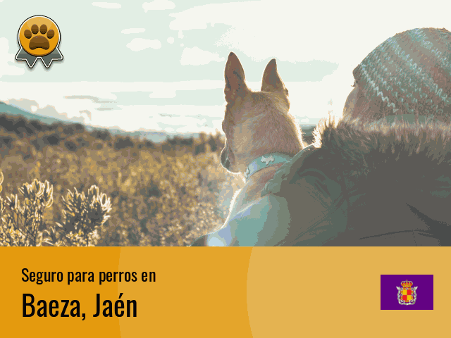 Seguro perros Baeza