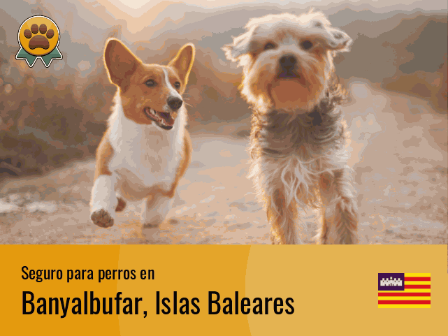 Seguro perros Banyalbufar